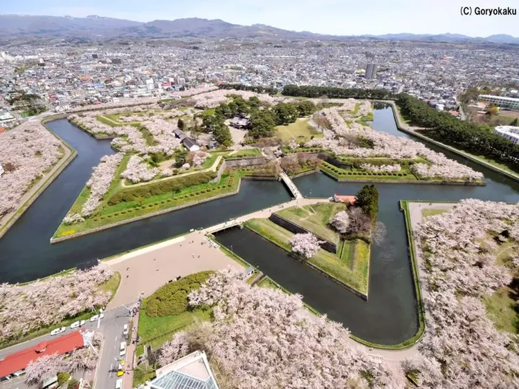 行程簡介-overview