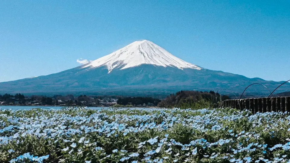 富士山旅遊攻略