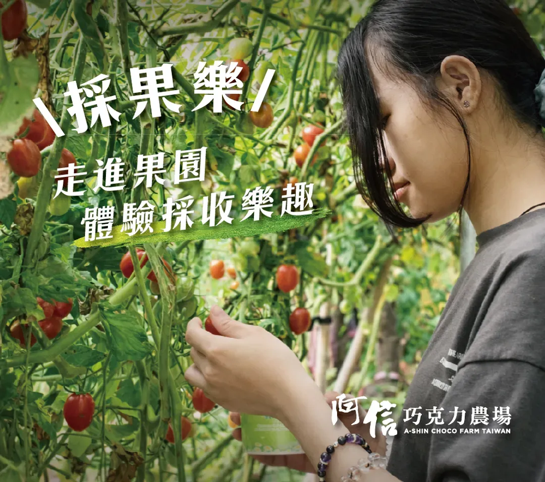 Ashin Chocolate Farm-Starry Sky Camping