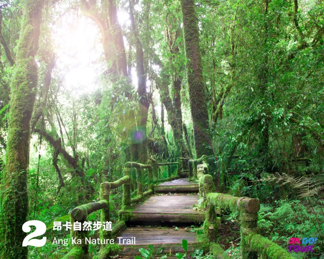 【清邁出發】茵他儂國家公園一日遊＋健行／參訪少數民族-7