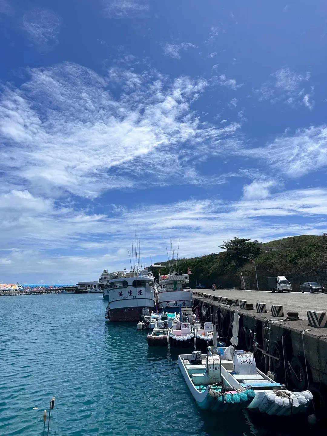 屏東縣-小花宿JellyFish