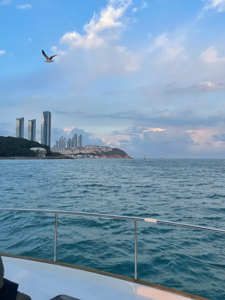 行程簡介-overview