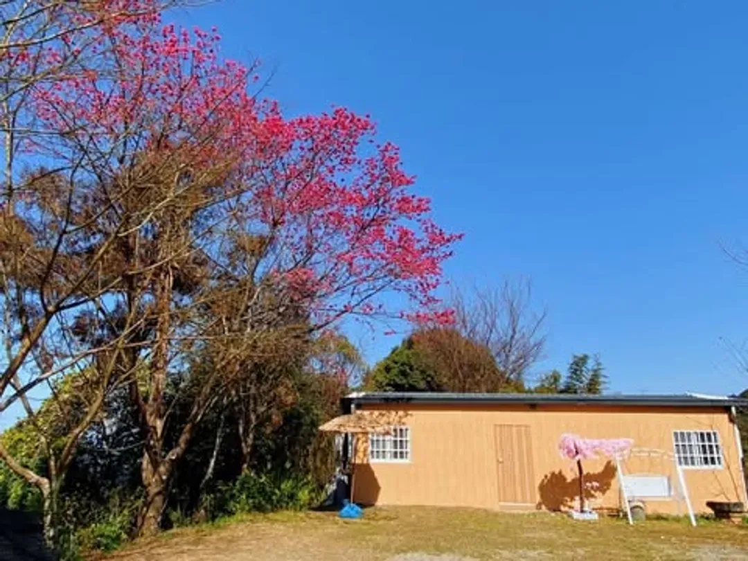馬月台露營區 | 百萬夜景絕佳觀賞點、寵物友善營區-12