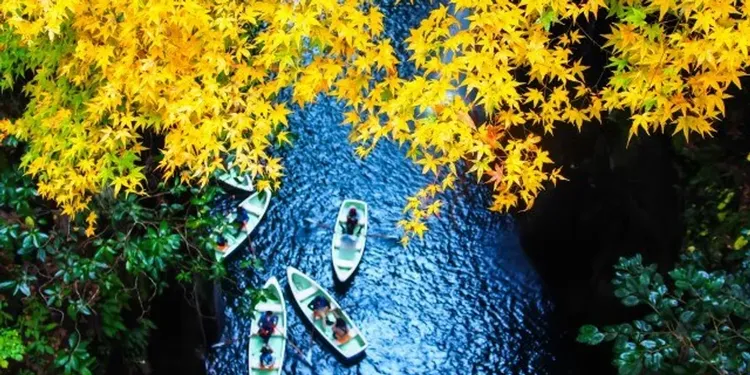 連假行程推薦：日本賞楓團！九州紅葉大賞～楓紅高千穗峽、湯布院金鱗湖、環境藝術之森、阿蘇溫泉體驗五日