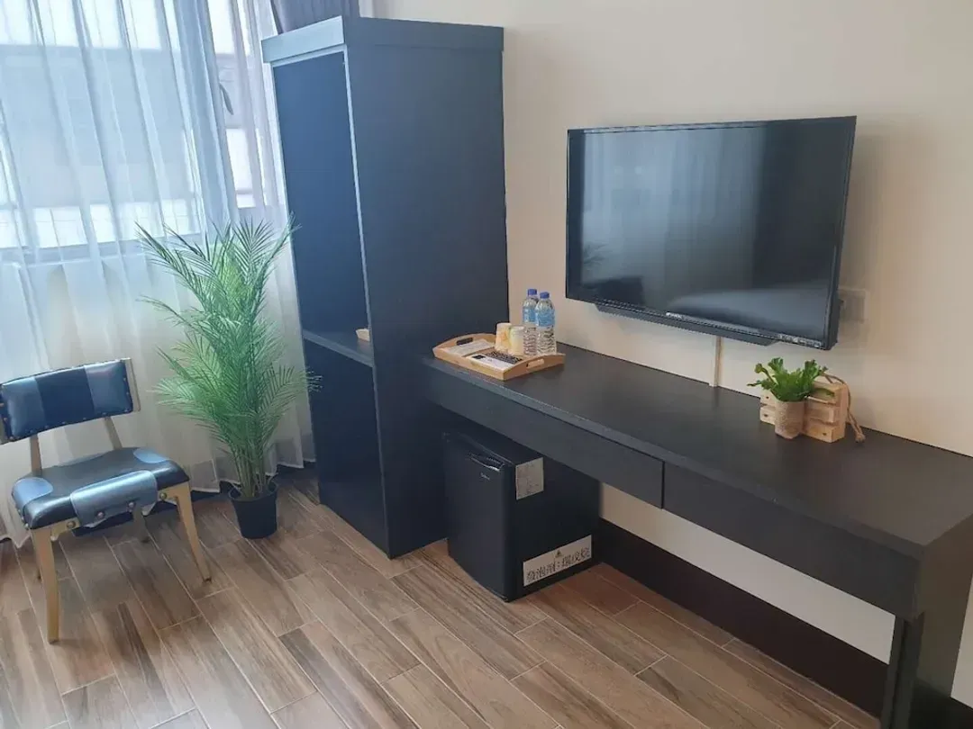 Television