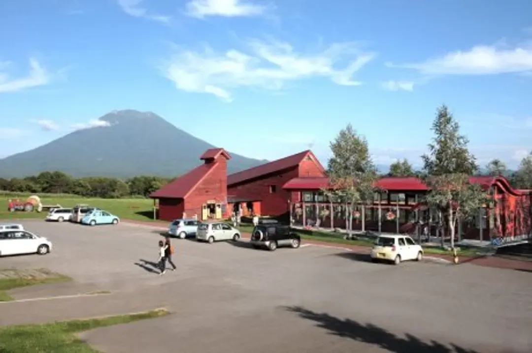 旗艦北海道旅遊｜保住雙五星.洞爺直升機.有形文化財.小樽遊船.騎馬體驗.日本和牛.帝王蟹饗宴五日｜商務艙來回-10