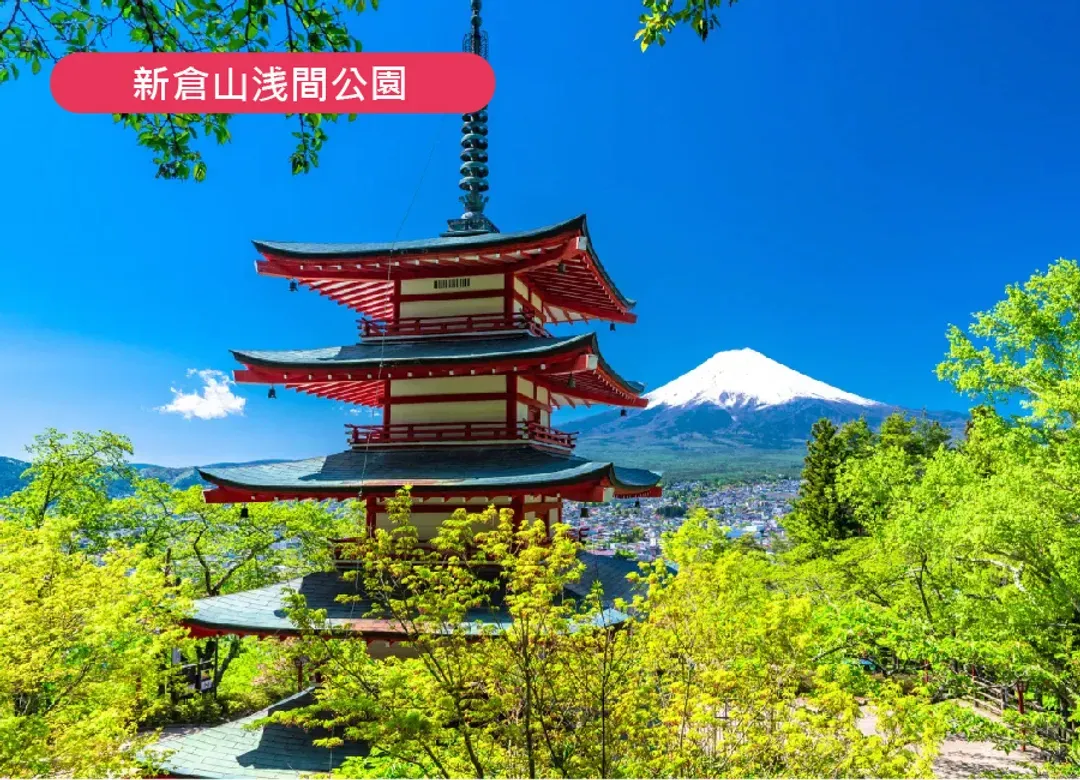 【酷超值】東京溫泉5日.富士山景觀纜車.大石公園.忍野八海.豐洲千客萬來.新倉山淺間神社.麻布之丘-6