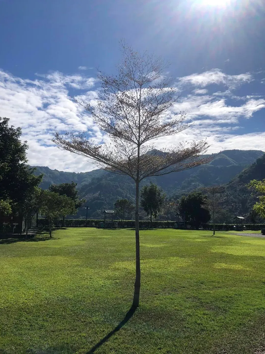 大雪山觀山嶺｜可包場、客製露營有專人搭帳收帳、絕佳氣氛佈置！-9