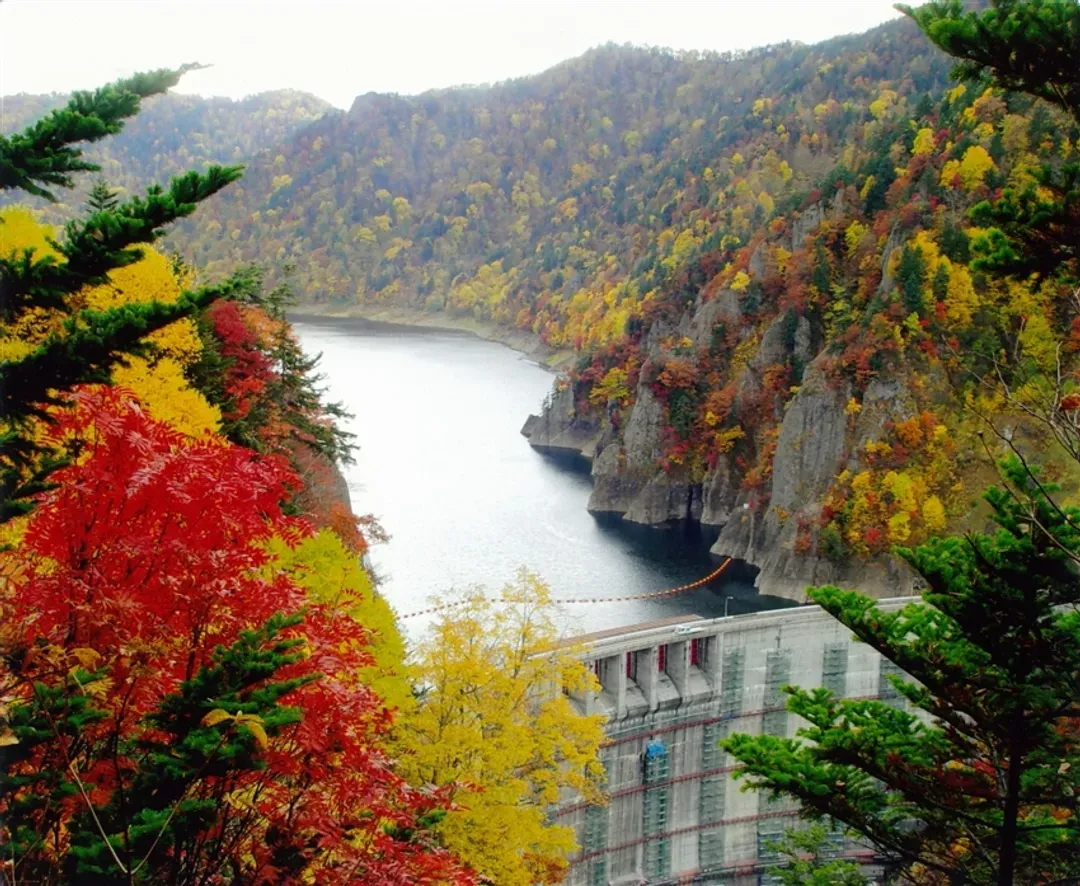 一起揪吧北海道｜紅葉絕景.函館纜車.洞爺湖花火.豐平峽賞楓.企鵝遊行.白色戀人.三大蟹溫泉六日-12