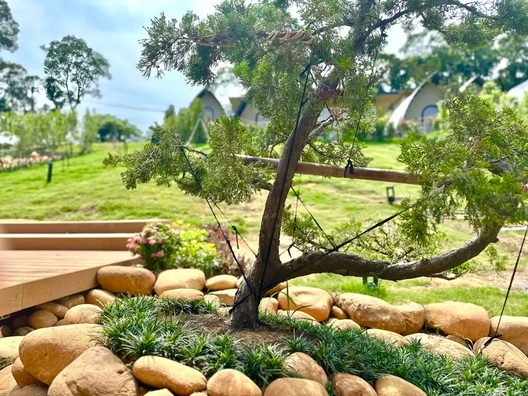 杉棲山丨旭 ｜獨家8折起！新開幕營區、湖畔景色、附設冷暖氣-8