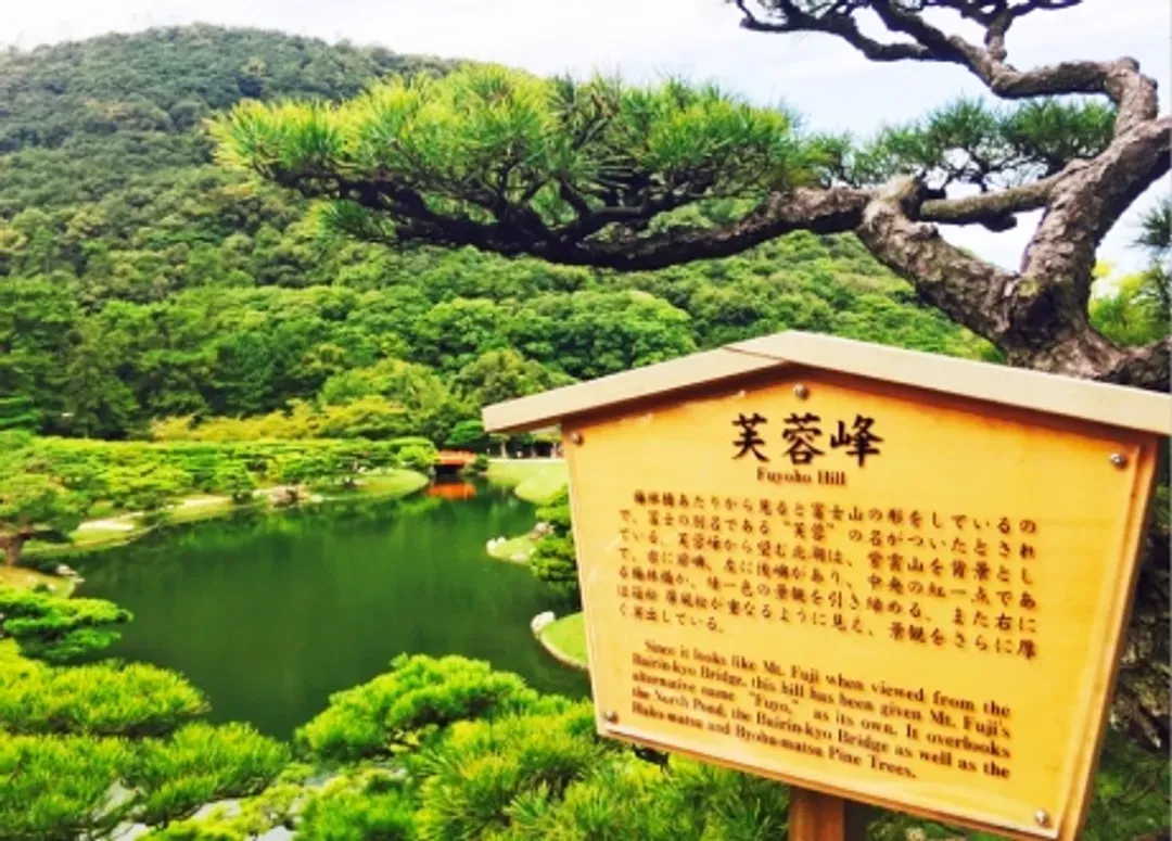 undefined-4
