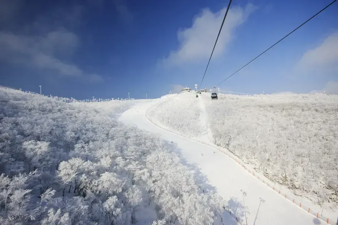 【首爾出發】韓國GOGO SKI滑雪冬令營 - HIGH 1度假村四日遊｜含6小時滑雪課、免費夜間滑雪-10