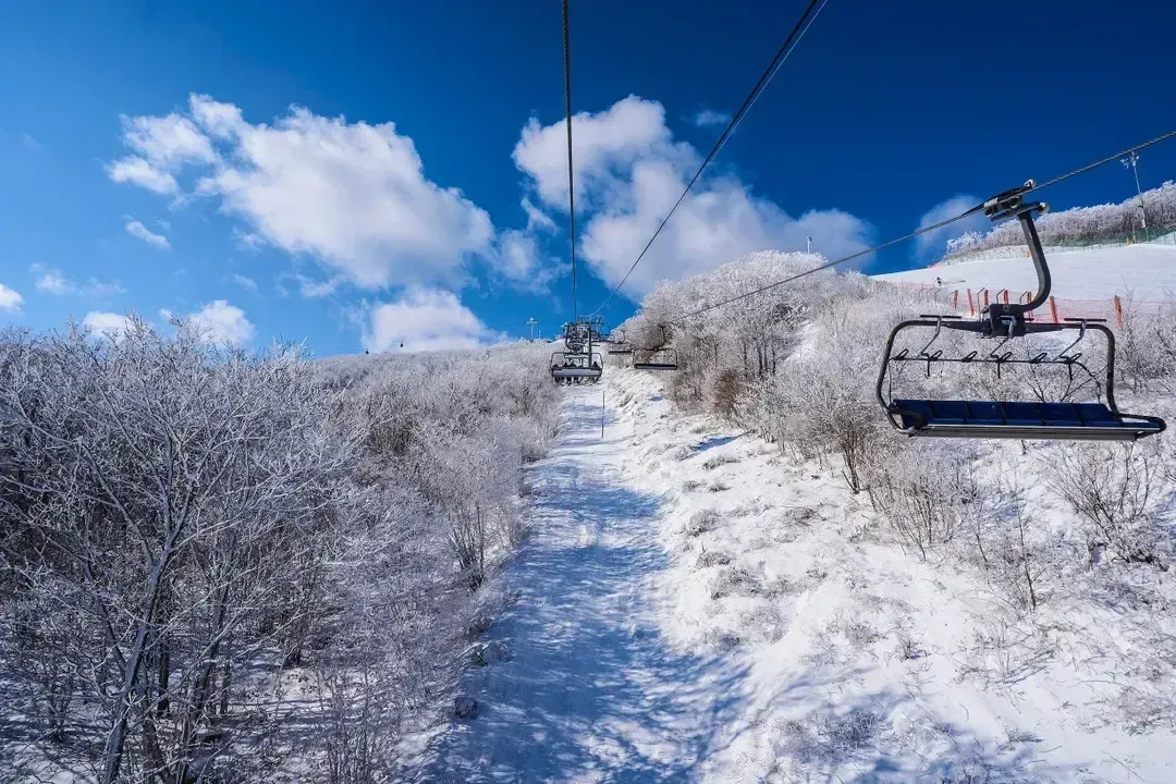 【首爾出發】韓國GOGO SKI滑雪冬令營 - HIGH 1度假村四日遊｜含6小時滑雪課、免費夜間滑雪-11