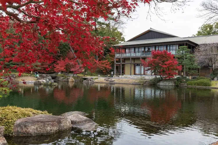 日本跟團行程推薦,關西楓紅鐵道輕奢行｜志摩之風｜萬豪五星・名花燈祭・香嵐溪夜楓四季櫻・米其林名廚・海女小屋・伊勢溫泉｜5日