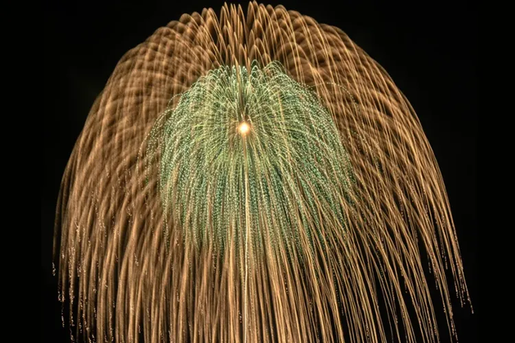 行程簡介-overview