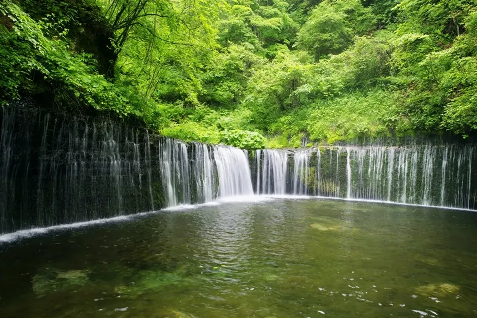 爆省東京｜贈送東京西瓜卡.輕井澤避暑.輕井澤舊銀座通.白絲瀑布.八場水庫.川越老街.星空螃蟹溫泉五日
