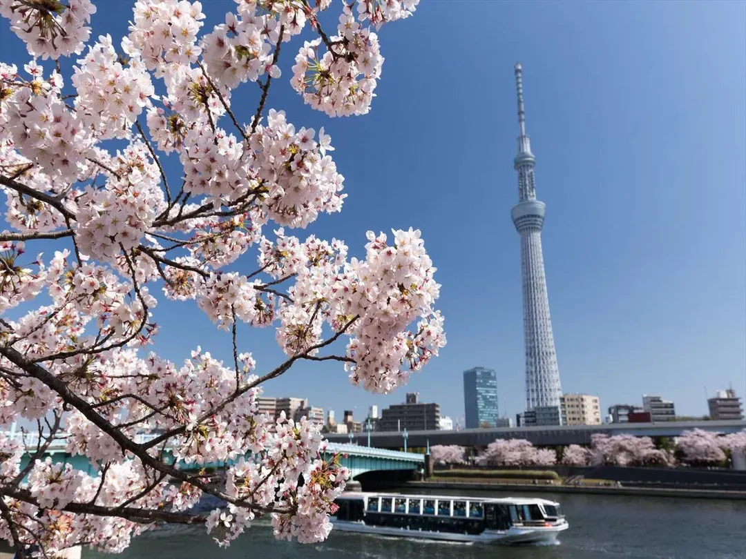 The Prime TOKYO｜最多9人/包棟/3層4BR/堀切菖蒲園站步行7分