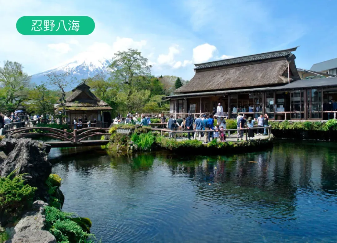 東京伊豆富士山雙溫泉5日.天空步道MISORA展望.小室山纜車.伊豆海濱列車.淨蓮瀑布.三大蟹吃到飽-6