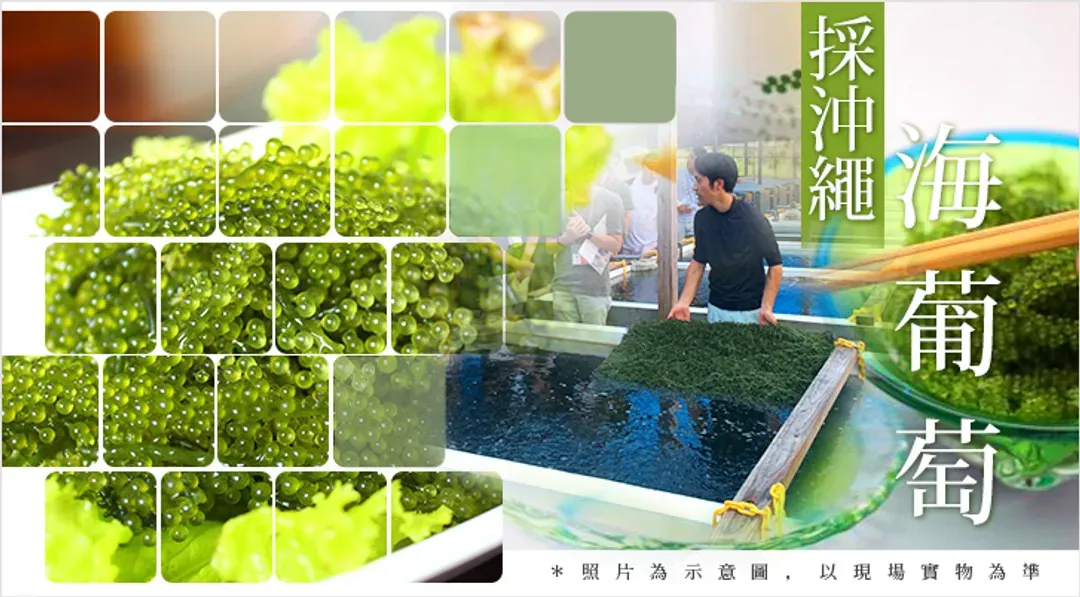 undefined-1