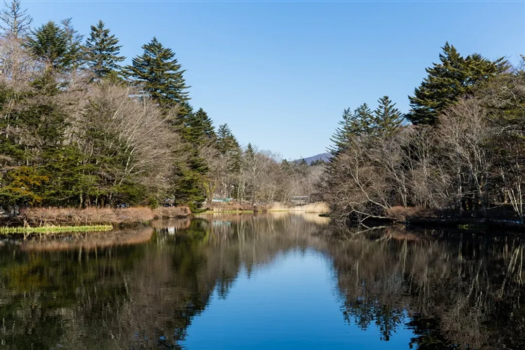 楓紅東京深度旅遊|世界遺產日光.偕樂園.伊香保.輕井澤.箱根富士五湖.西湖里根場.三島大橋.關東五溫泉楓紅巡禮八日-5