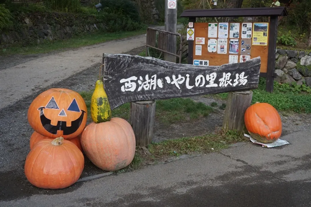楓紅東京深度旅遊|世界遺產日光.偕樂園.伊香保.輕井澤.箱根富士五湖.西湖里根場.三島大橋.關東五溫泉楓紅巡禮八日