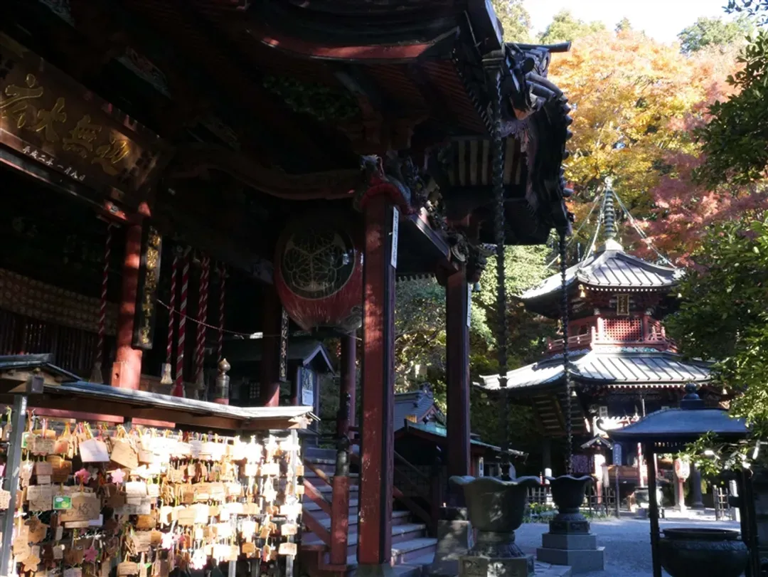 楓紅東京深度旅遊|世界遺產日光.偕樂園.伊香保.輕井澤.箱根富士五湖.西湖里根場.三島大橋.關東五溫泉楓紅巡禮八日-13