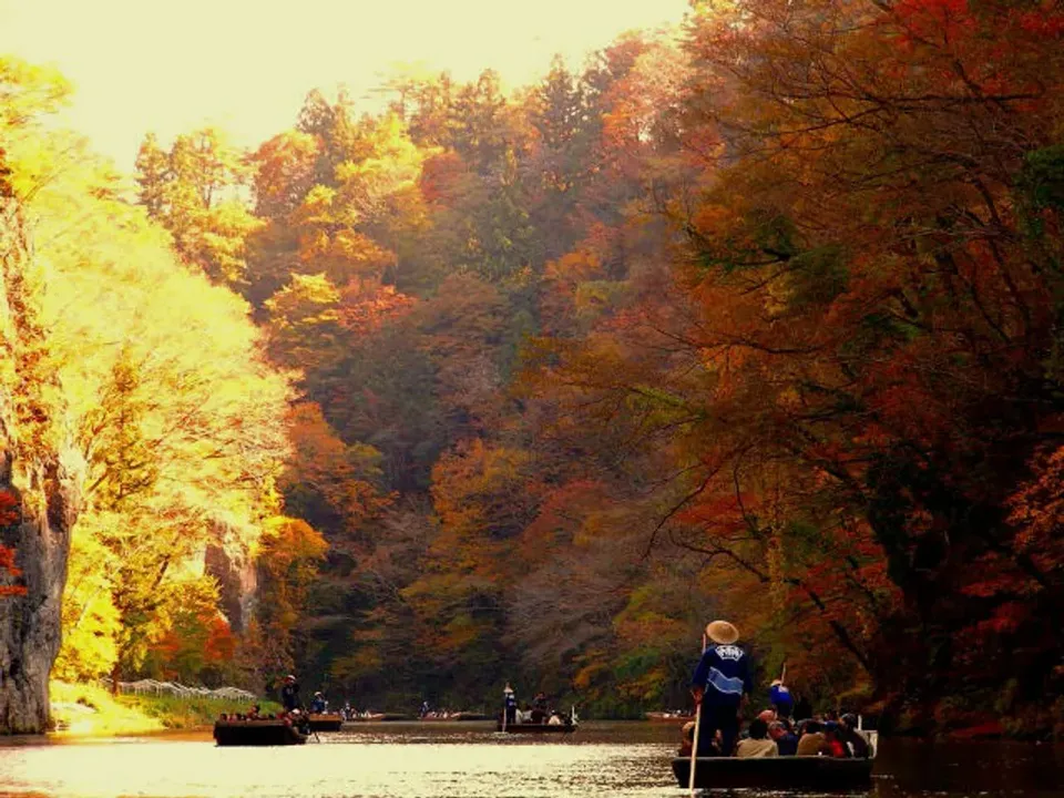 東北、紅葉秘境～奧入瀨溪流、猊鼻溪渡輕舟、角館小京都、松島灣遊覽船五日