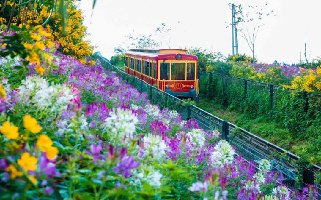 最美北越～沙壩夢幻山城、龍雲天空步道、芒花登山列車、全程五星飯店五日-10