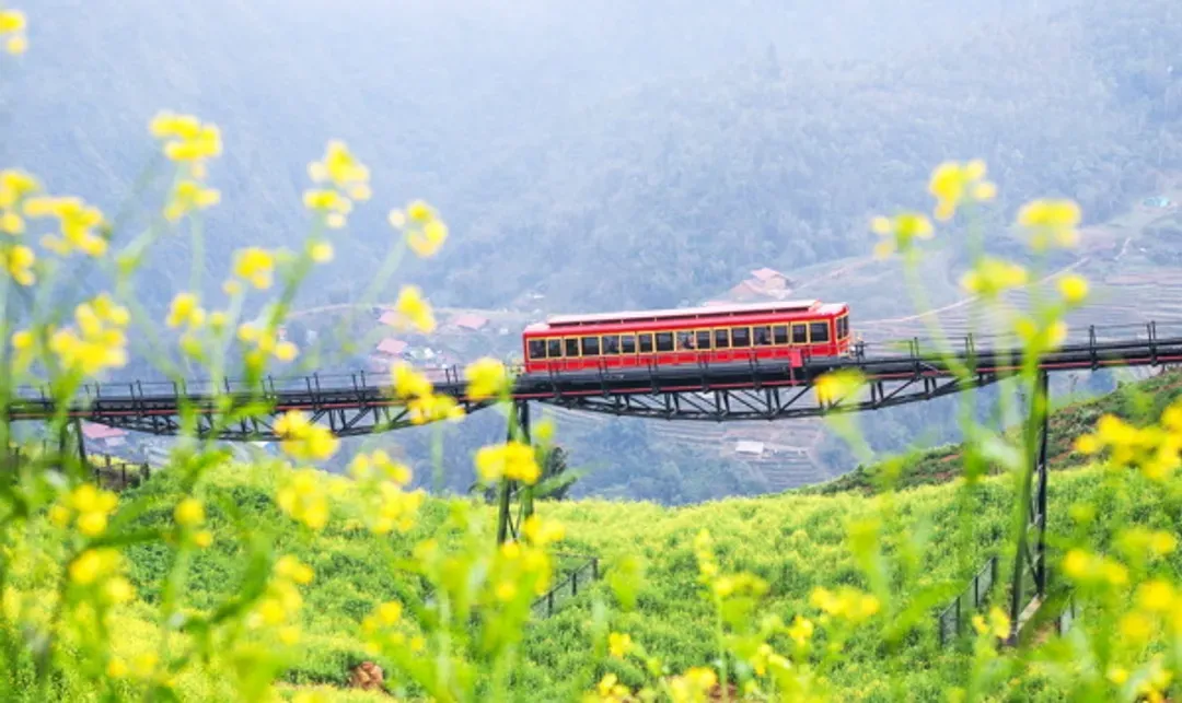 番西邦峰(芒花登山列車+番西邦纜車來回+單程登頂小火車)