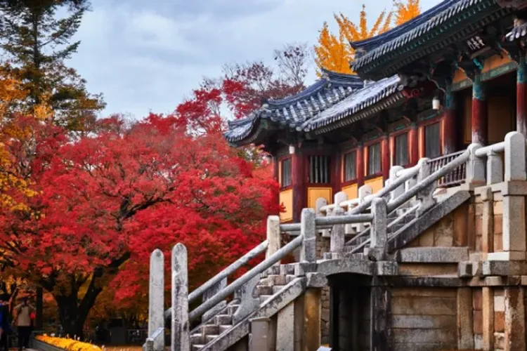 佛國寺楓葉-紅葉故事旅行