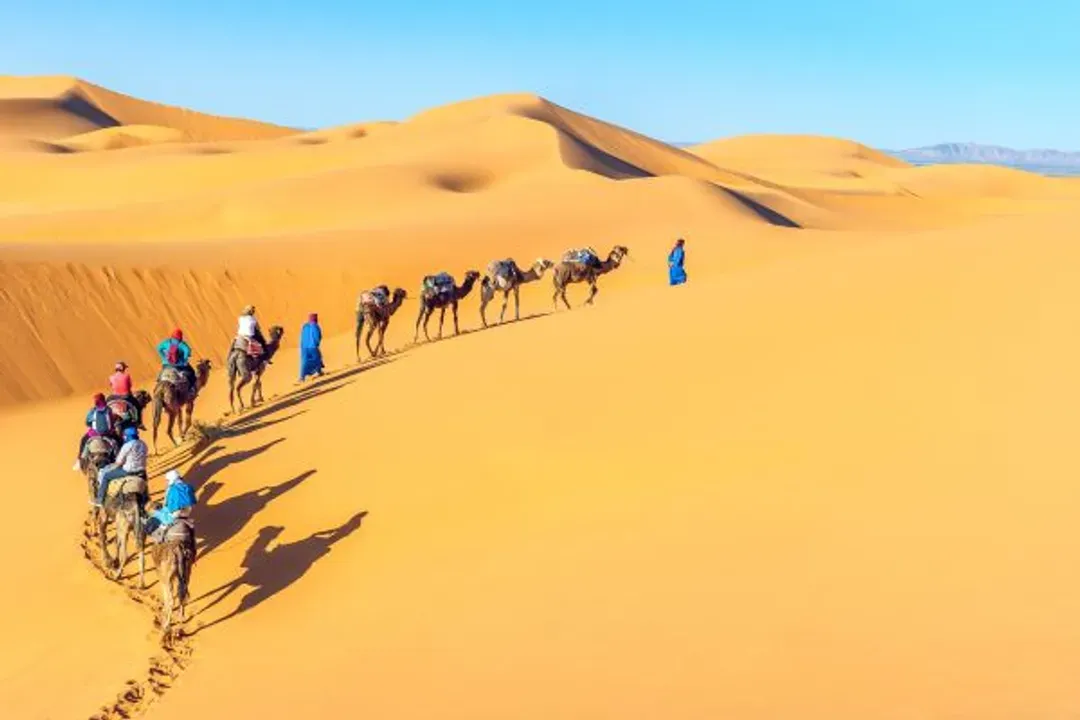 撒哈拉沙漠 Sahara Desert-撒哈拉沙漠(四輪傳動車+騎駱駝)
