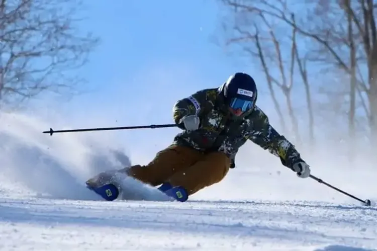 行程簡介-overview