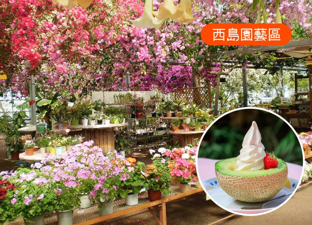 【限時限量】四國全覽小豆島5日.天使步道.大步危遊船.金刀比羅宮.烏龍麵DIY.道後溫泉.松山城纜車.西島園藝區(華航)-6