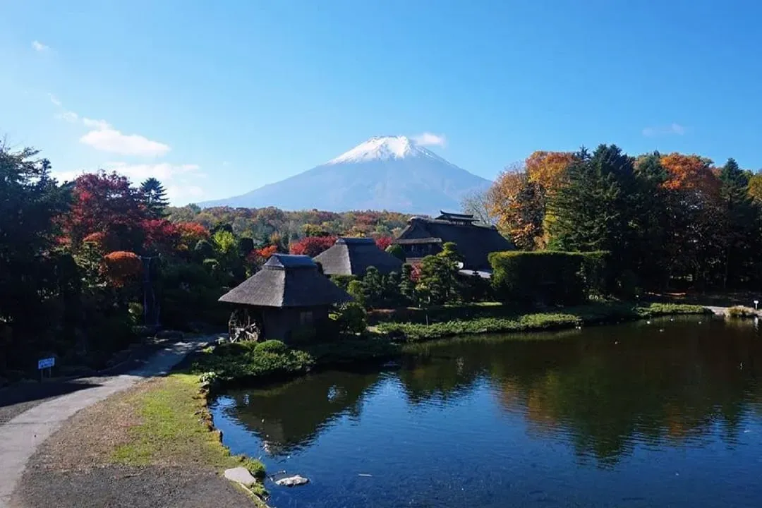 KHH嗨玩東京~迪士尼樂園、淺草觀音寺、豐洲千客萬來、富士忍野八海五日-5