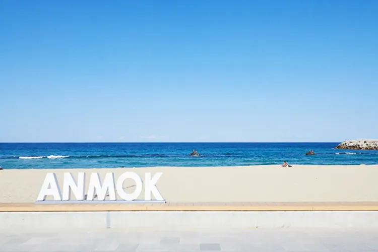 行程簡介-overview