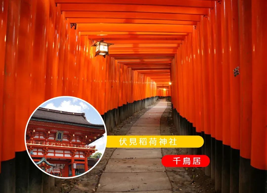 絕景丹後關西三都5日.秘境天橋立纜車.伊根灣遊船.美山合掌村.宇治平等院.奈良小鹿.和牛吃到飽,海鮮美食(華航午/晚)-5