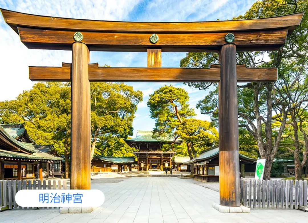 絕美東京5日.LAVIEW列車.輕井澤.富士山長腳蟹.御殿場OUTLET.敘敘苑燒肉.麻布之丘.雙溫泉-8