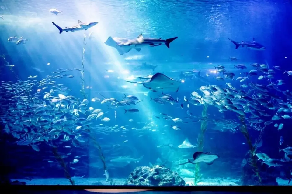 濟州aqua planet水上世界