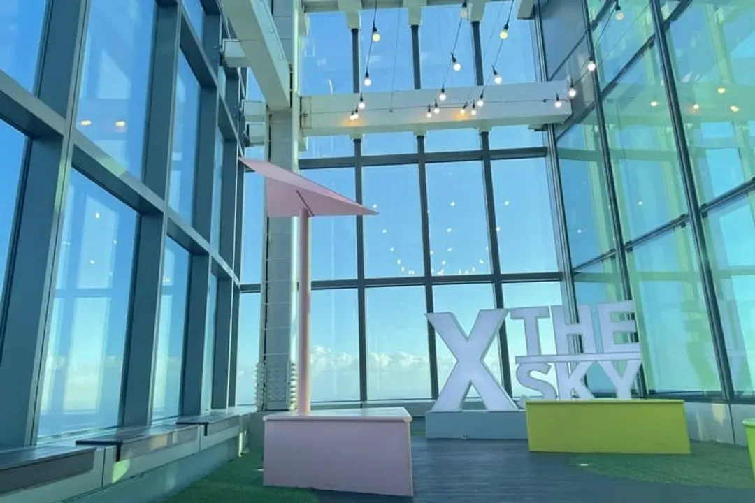 X THE SKY