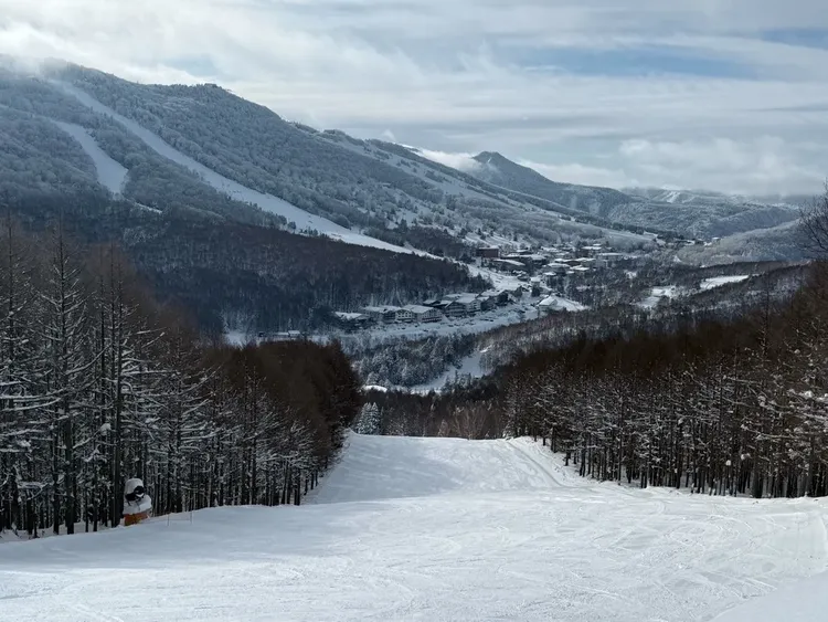 行程簡介-overview