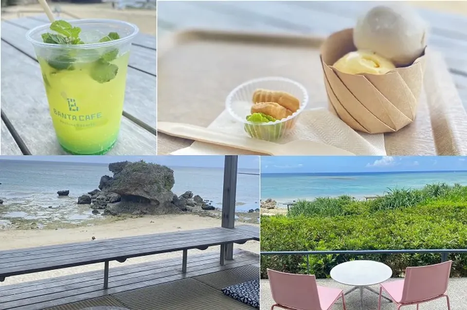 沖繩旅遊｜台灣虎航｜美麗海水族館.海景下午茶.波之上神宮.貓島四日｜高雄來回