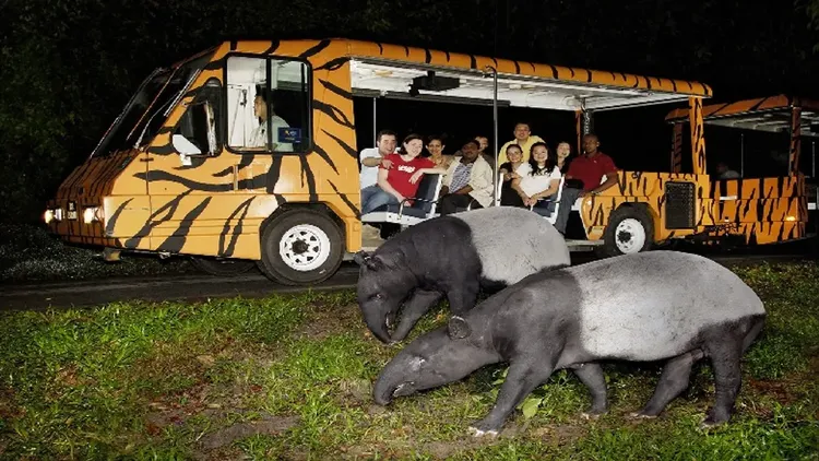 新馬跟團行程推薦，賀歲折3,000｜小孩不佔扣8千｜新馬旅遊｜環球影城.夜間動物園.樂高樂園.圍爐晚宴.五星酒店五日