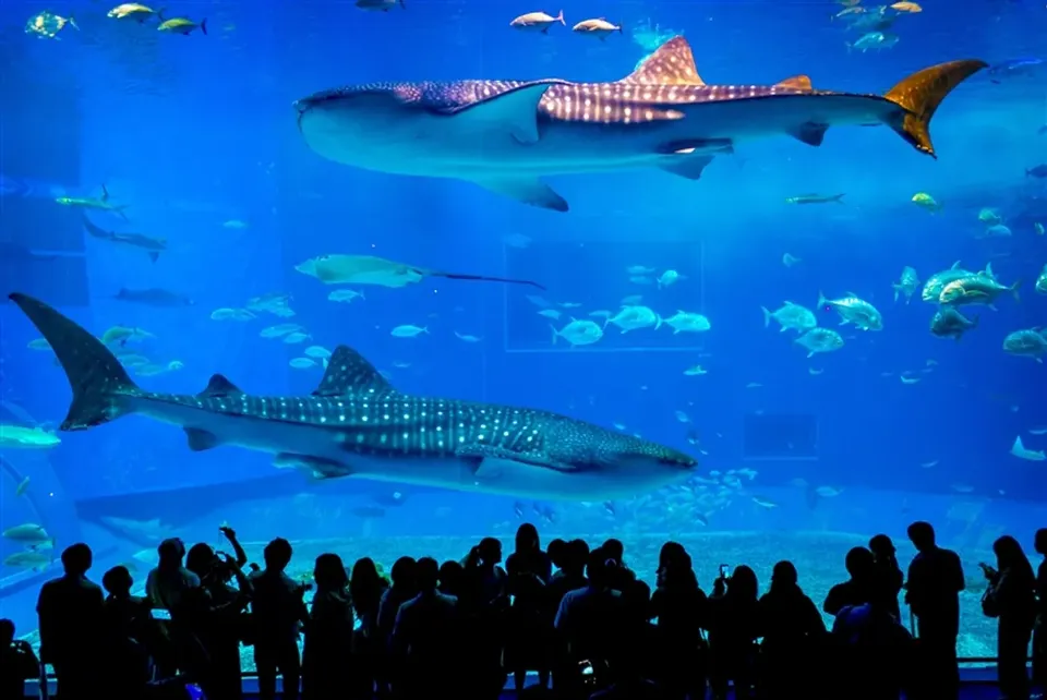 沖繩跟團親子景點