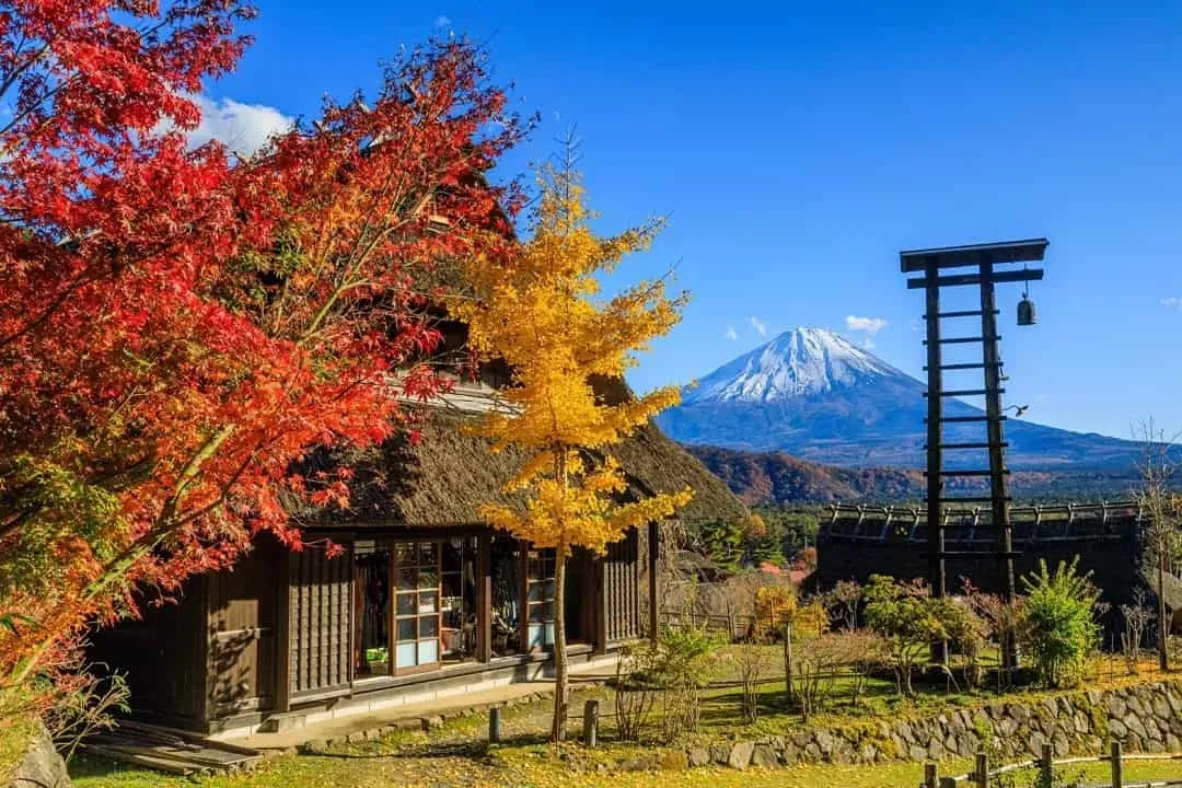 東京秋意濃～河口湖紅葉迴廊、輕井澤秋日漫遊、身延山楓紅巡禮、三晚溫泉鄉五日