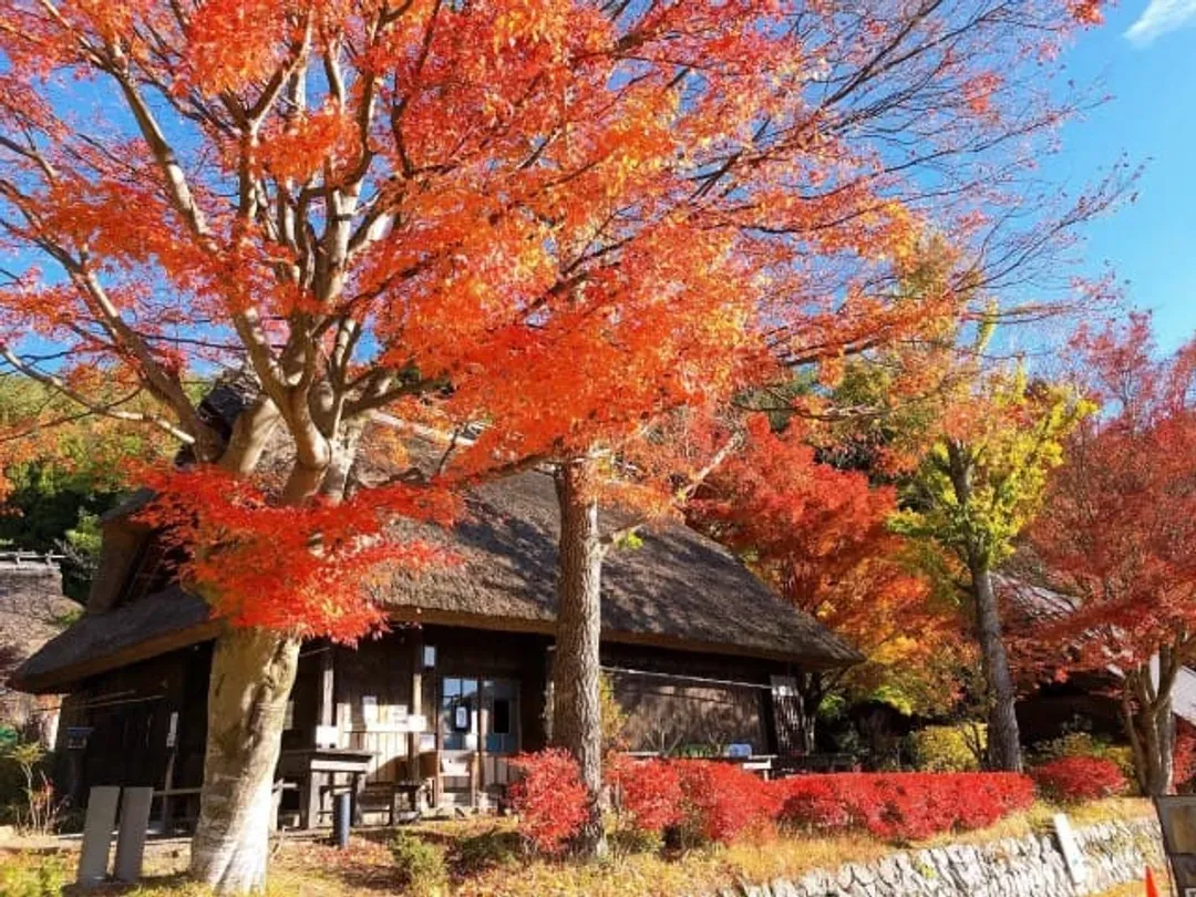 西湖合掌村