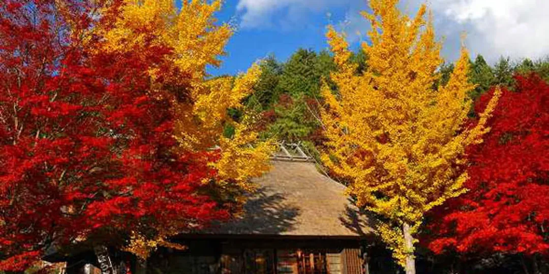 西湖合掌村