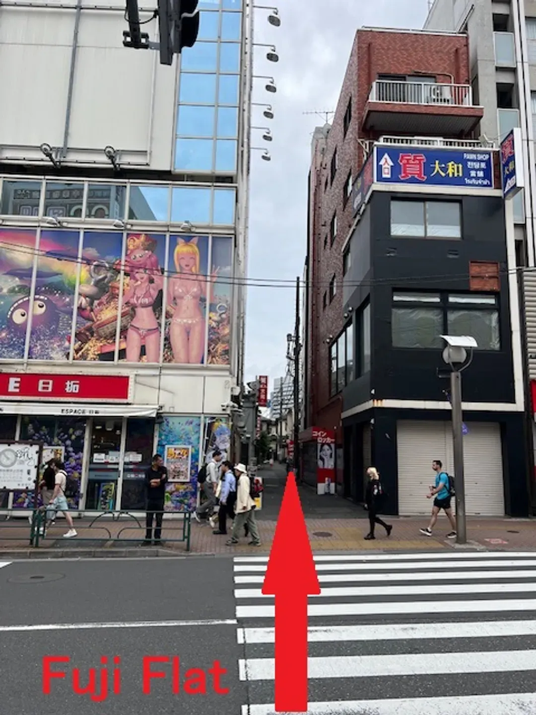 Fuji Flat-5