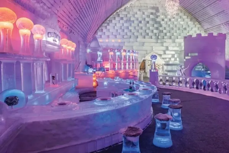 阿拉斯加跟團推薦，冰雕博物館-珍娜溫泉度假村