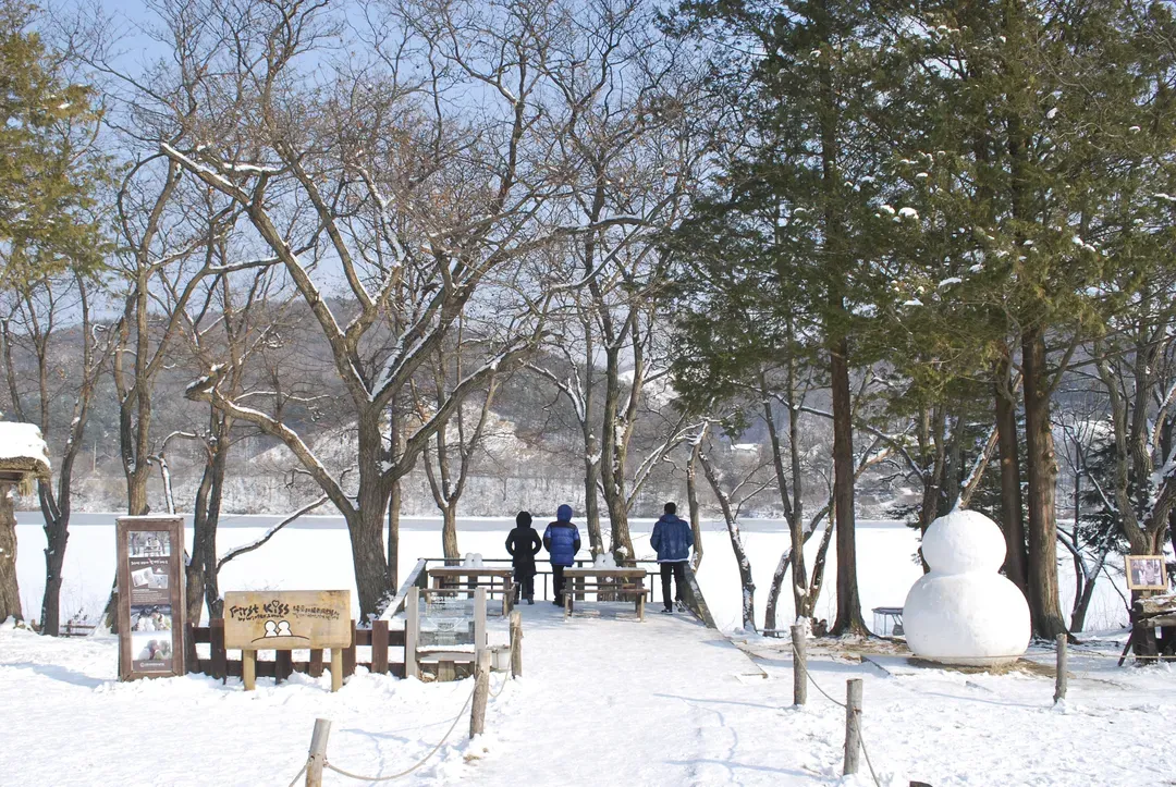 南怡島-雪景