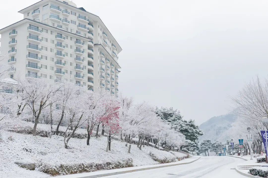 伊利希安江村滑雪假村